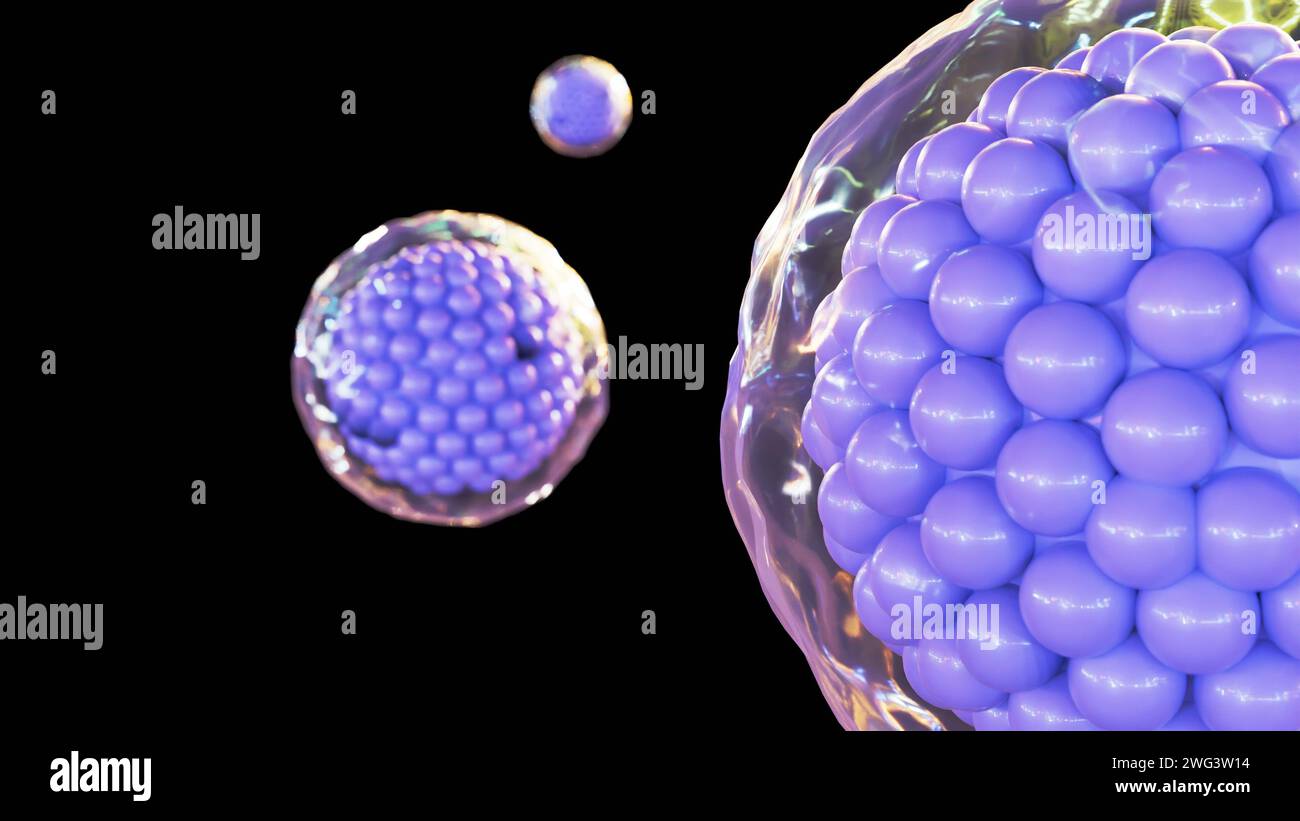 3D-Rendering von Zellen ist von einer Plasmamembran umgeben, die eine dünne, flexible Barriere ist, die die Zelle von ihrer Umgebung trennt. Stockfoto