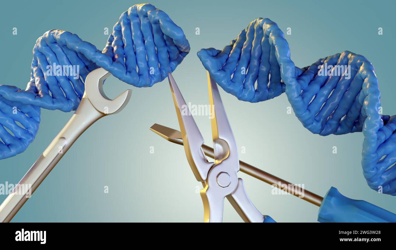 3D-Rendering eines Schraubenschlüssels, einer Zange und eines Schraubendrehers vor einer blauen DNA-Helix. Stockfoto