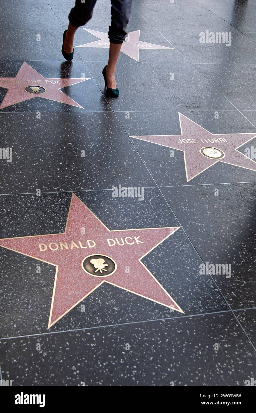 Donald Duck Star auf dem Holywood Walk of Fame, Hollywood, Califnria, USA Stockfoto