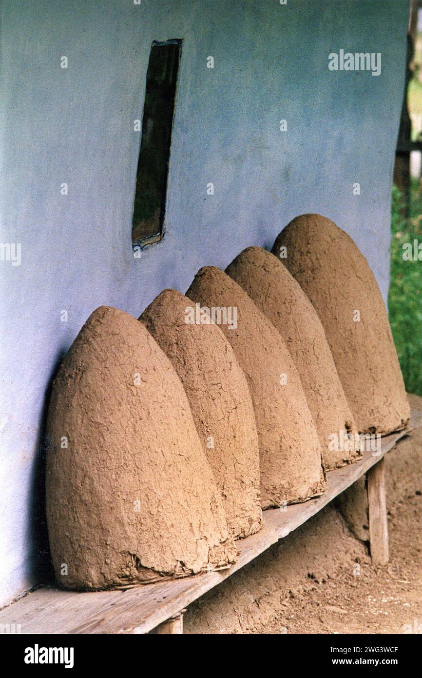Alte traditionelle, mit Lehm gesäumte Bienenköpfe, ausgestellt im Dorfmuseum in Bukarest, Rumänien, ca. 1999 Stockfoto