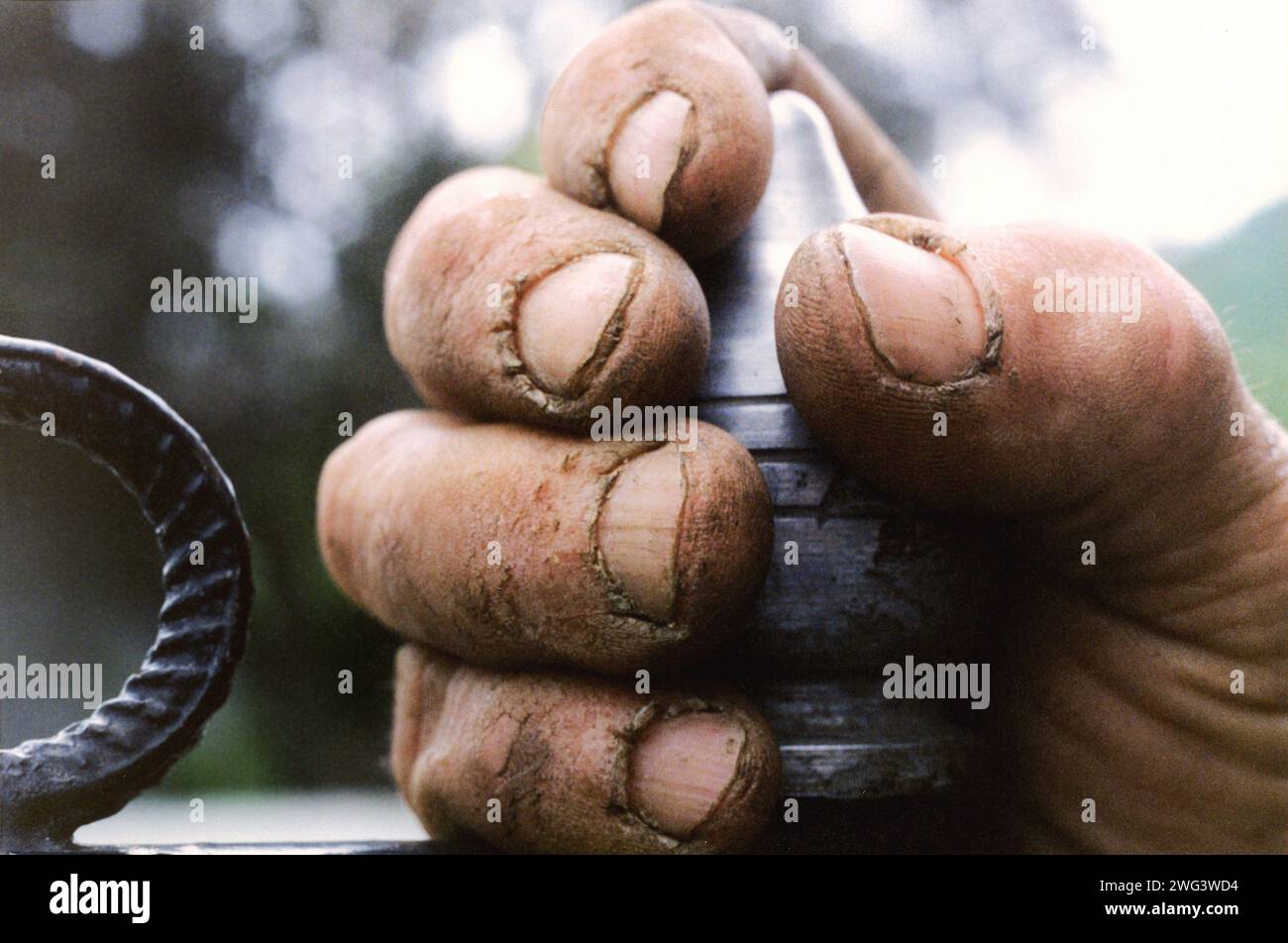 Schmutzige Hand eines Mannes auf dem Land Rumäniens, ca. 1998 Stockfoto