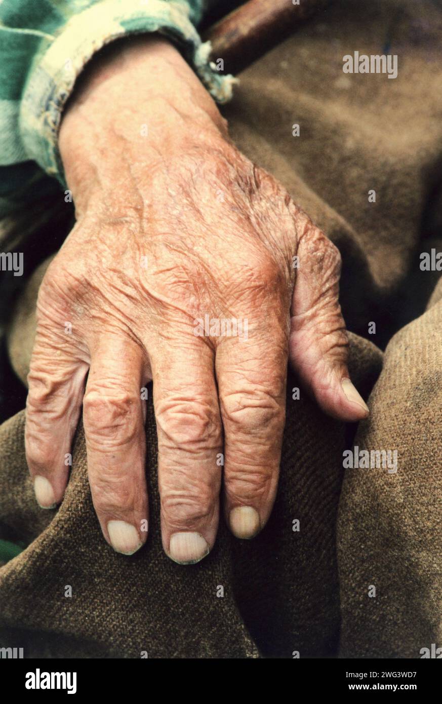 Nahaufnahme der Hand einer älteren Frau in Rumänien, ca. 1999 Stockfoto