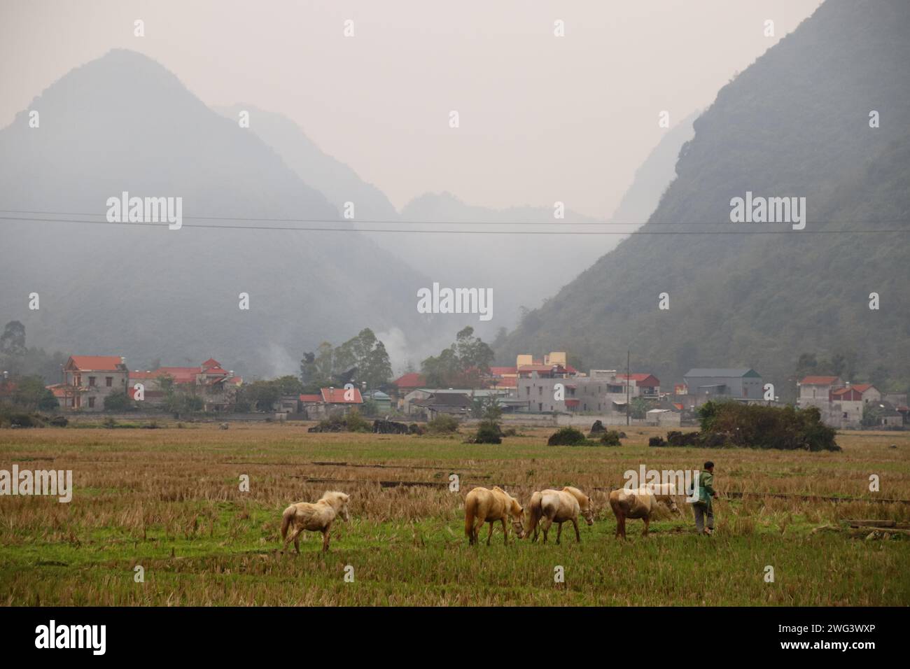 Wunderschöne nebelige Winterszene des Bac Son Valley in der Provinz lang Son im Nordosten Vietnams Stockfoto