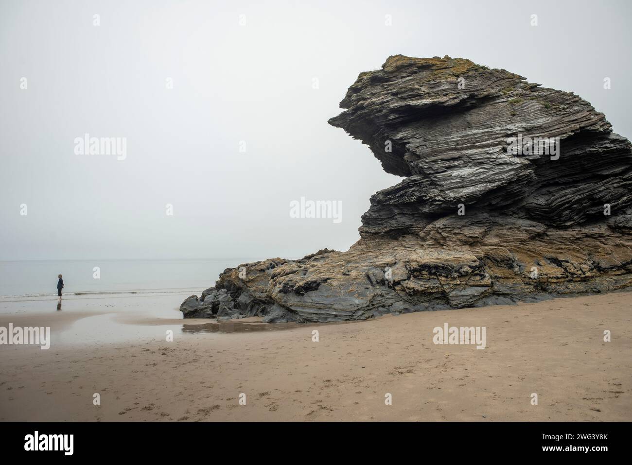 Carreg Bica, Llangrannog Beach, Ceredigion, Wales, Großbritannien Stockfoto