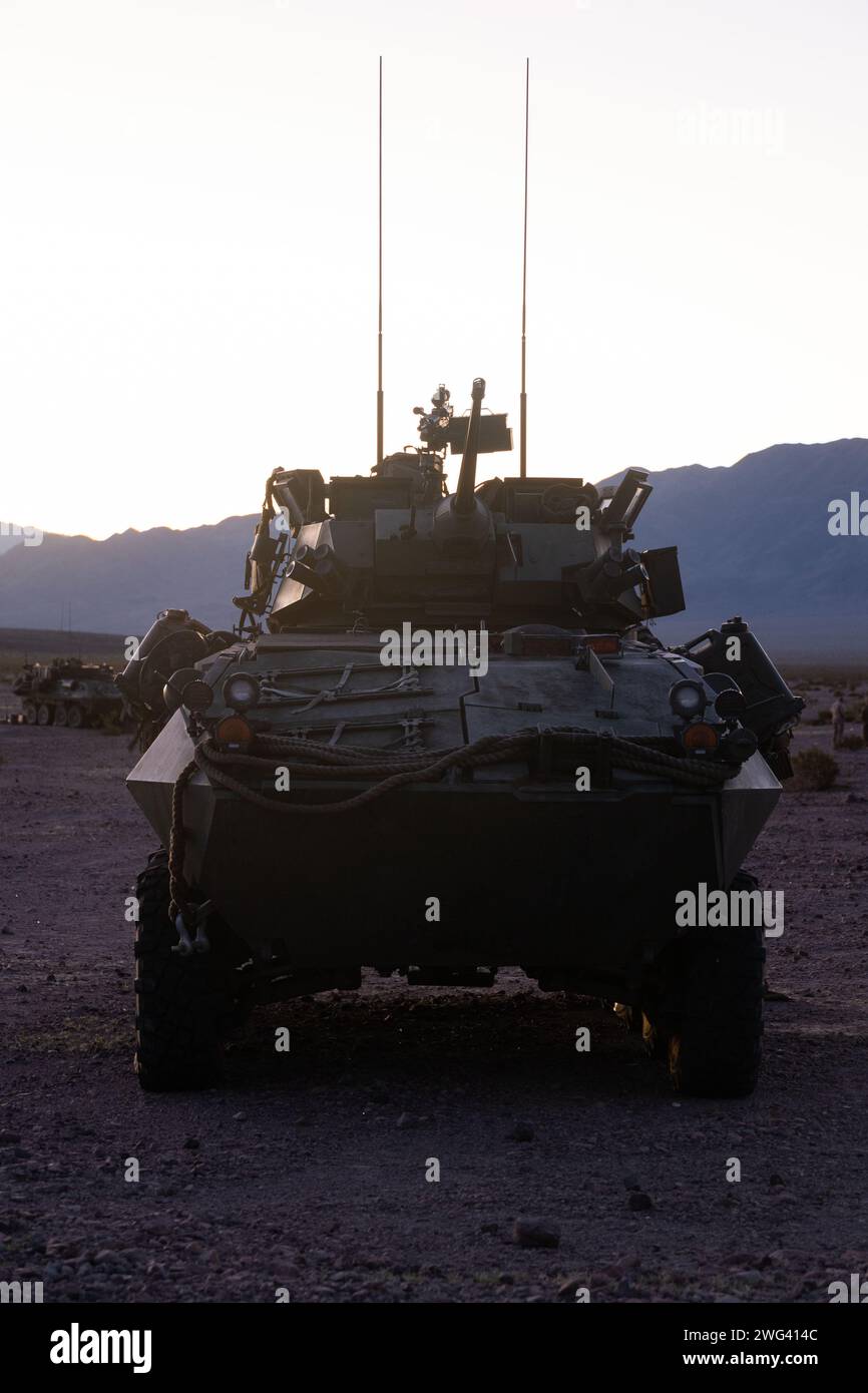 US-Marines mit dem 3. Leichten gepanzerten Aufklärungsbataillon, 1. Marine-Division, bereiten sich auf einen Zug während einer integrierten Trainingsübung im Rahmen der Service Level Training Übung 2-24 im Lava Training Area, Marine Corps Air-Ground Combat Center, Twentynine Palms, Kalifornien, am 26. Januar 2024 vor. Ziel von ITX ist es, eine anspruchsvolle, realistische Trainingsumgebung zu schaffen, die kampfbereite Kräfte produziert, die als integrierte Marine Air-Ground Task Force arbeiten und Einheiten auf ihre Rolle in der MAGTF-Kampfübung vorbereiten können. (Foto des U.S. Marine Corps von Lance CPL. Anna Stockfoto