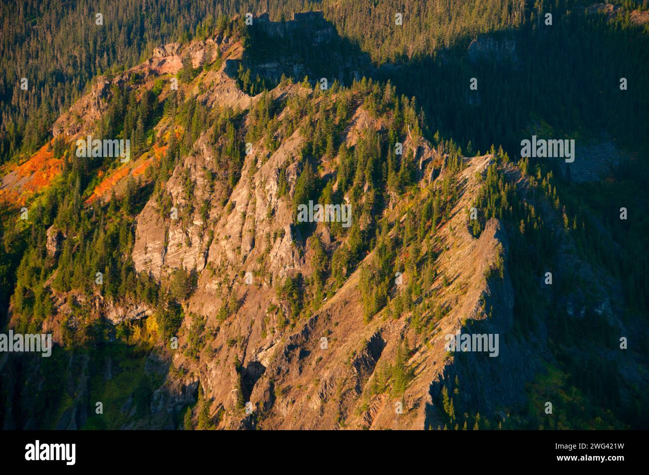 Mt Beachie aus Schlacht Ax Bergweg, Bull der Wald Wildnis, Mt. Hood National Forest, Oregon Stockfoto