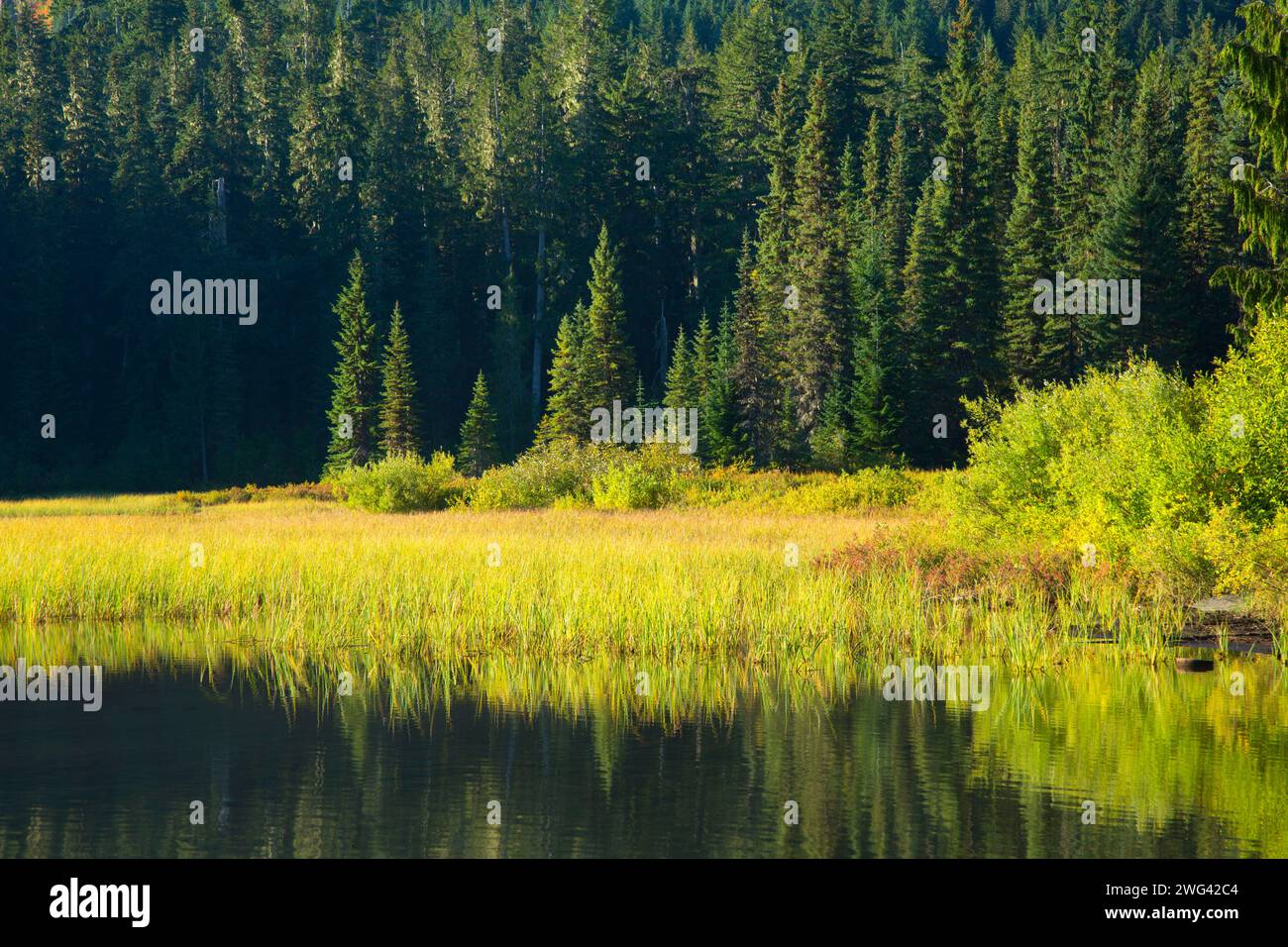 Elk Lake, Mt Hood National Forest, Oregon Stockfoto