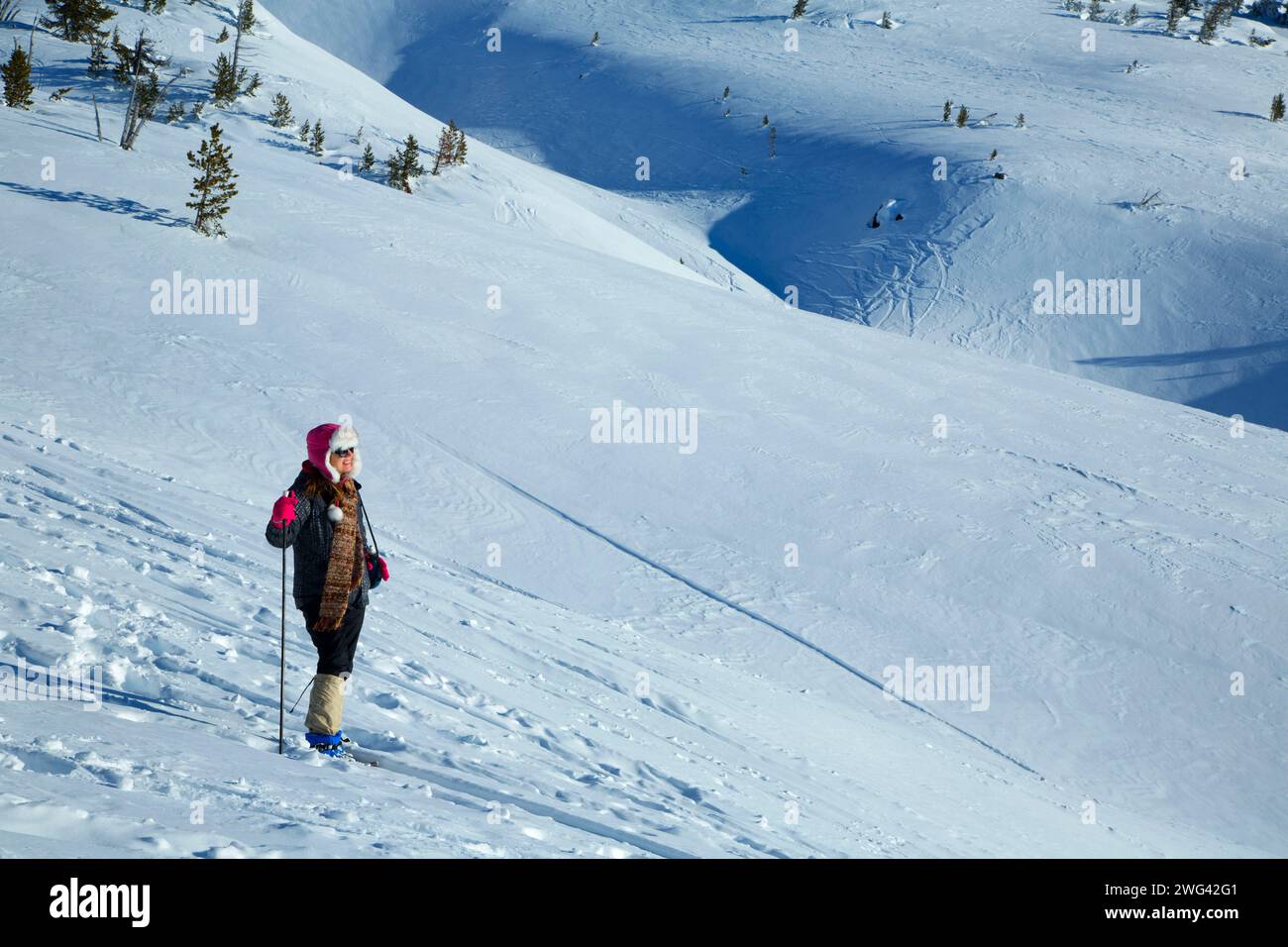 Schneeschuhwandern in Timberline, Mt Hood National Forest, Oregon Stockfoto