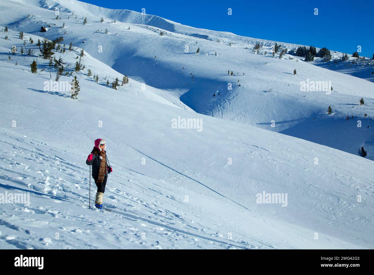 Schneeschuhwandern in Timberline, Mt Hood National Forest, Oregon Stockfoto
