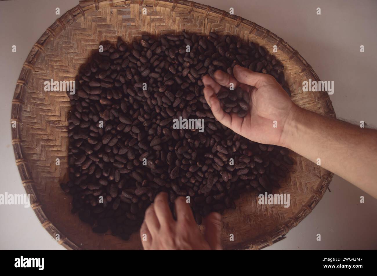 Eine handsortierte hausgemachte geröstete Kakaobohnen für die Herstellung von Tableya oder traditionellen philippinischen Schokoladenmünzen, authentische traditionelle philippinische Küche Stockfoto