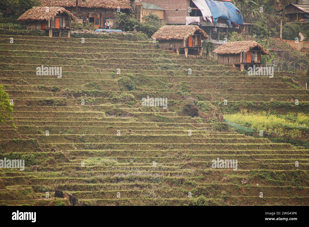 Einheimisches traditionelles Hmong-Haus auf den Reisterrassen zeigt die authentische indigene Kultur und das tägliche Leben im Dorf Lao Chai, Sa PA Vietnam Stockfoto