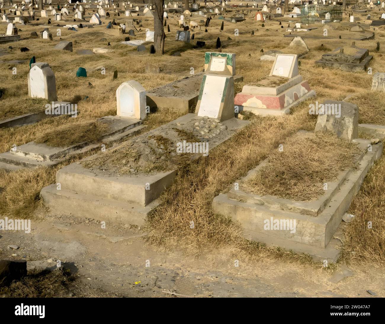 Grabsteine und Gräber auf dem Friedhof der muslime in Pakistan Stockfoto
