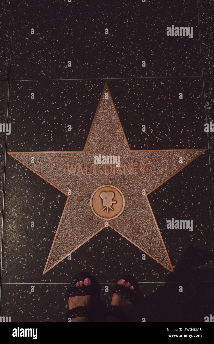 Walt Disney Star auf dem Walk of Fame in West Hollywood in Los Angeles Stockfoto