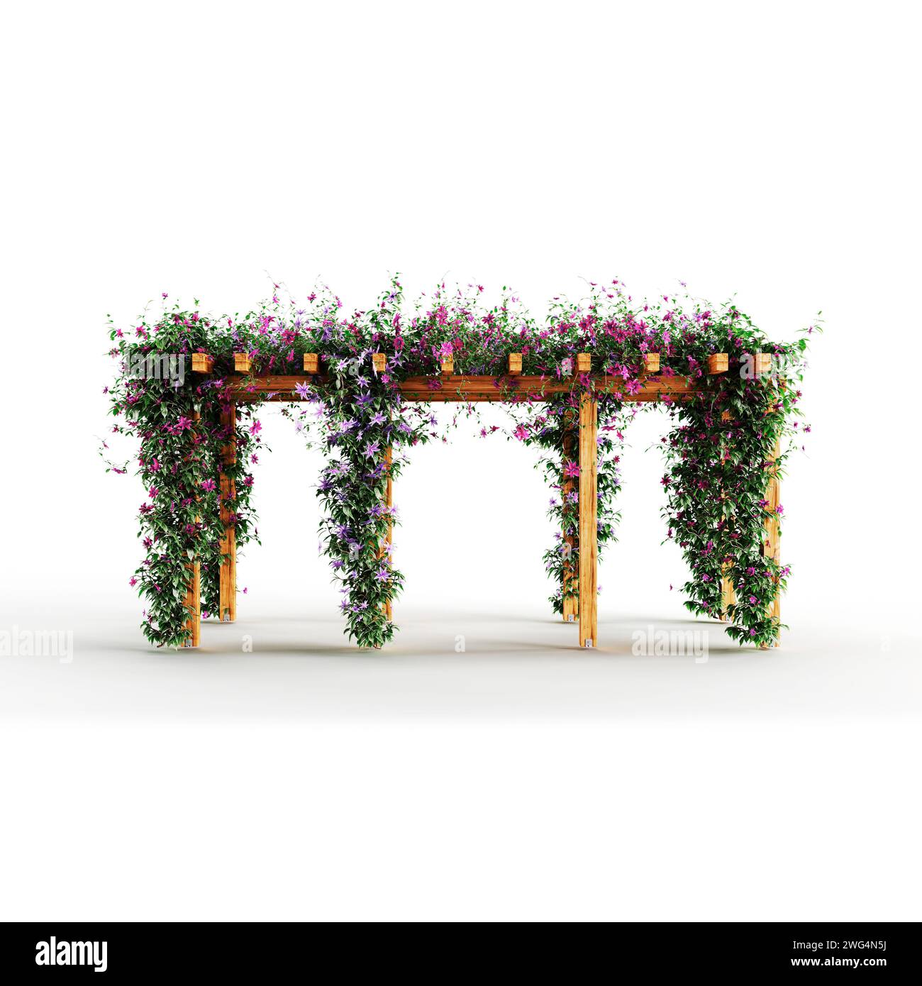 Eine 3D-Darstellung einer Pergola im Freien mit Blumen auf weißem Hintergrund Stockfoto