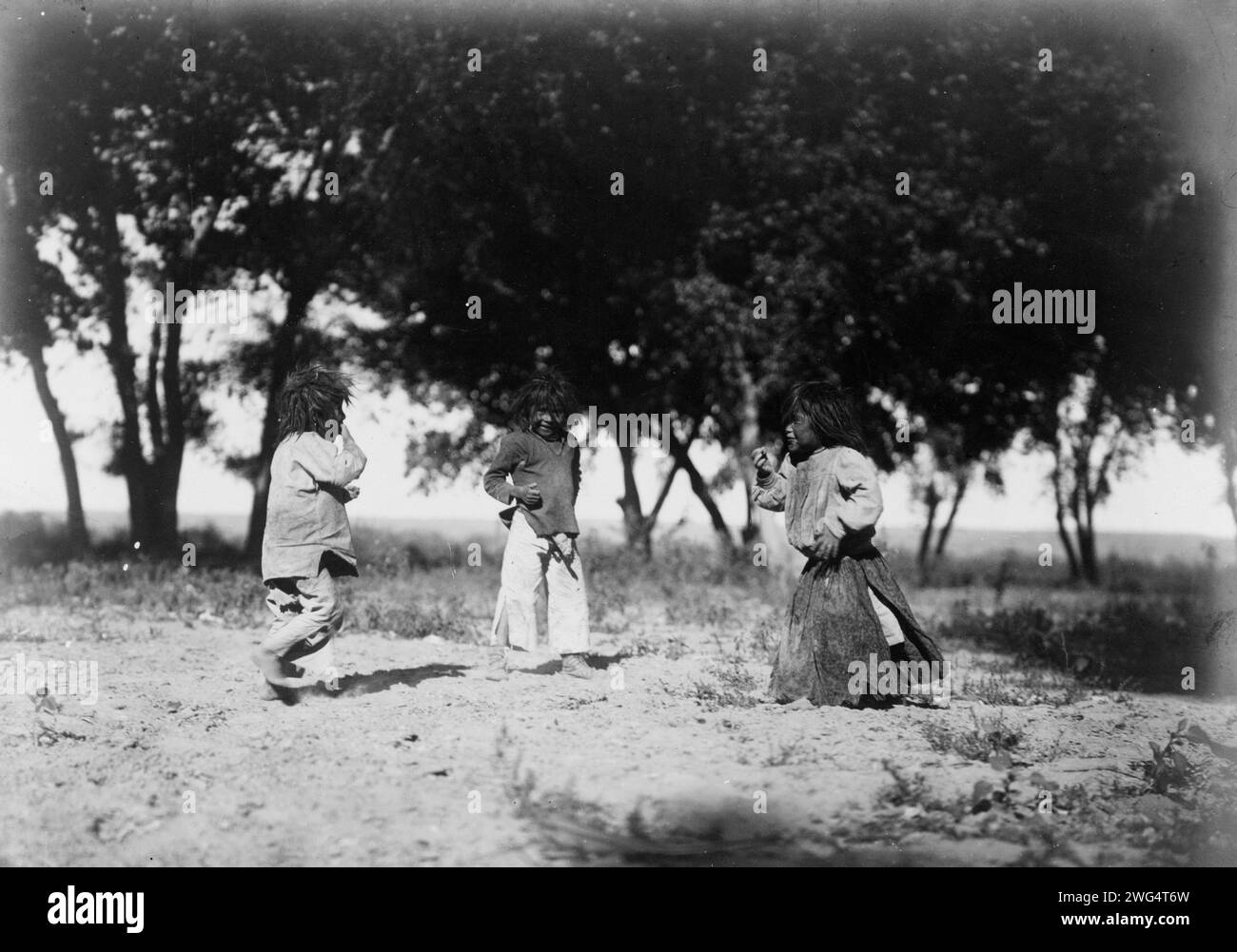 Das Kinderleben, die Baumwollwälder-Navaho, 1905. Drei Navajo-Kinder spielen, Baumwollholz-Silhouette im Hintergrund. Stockfoto