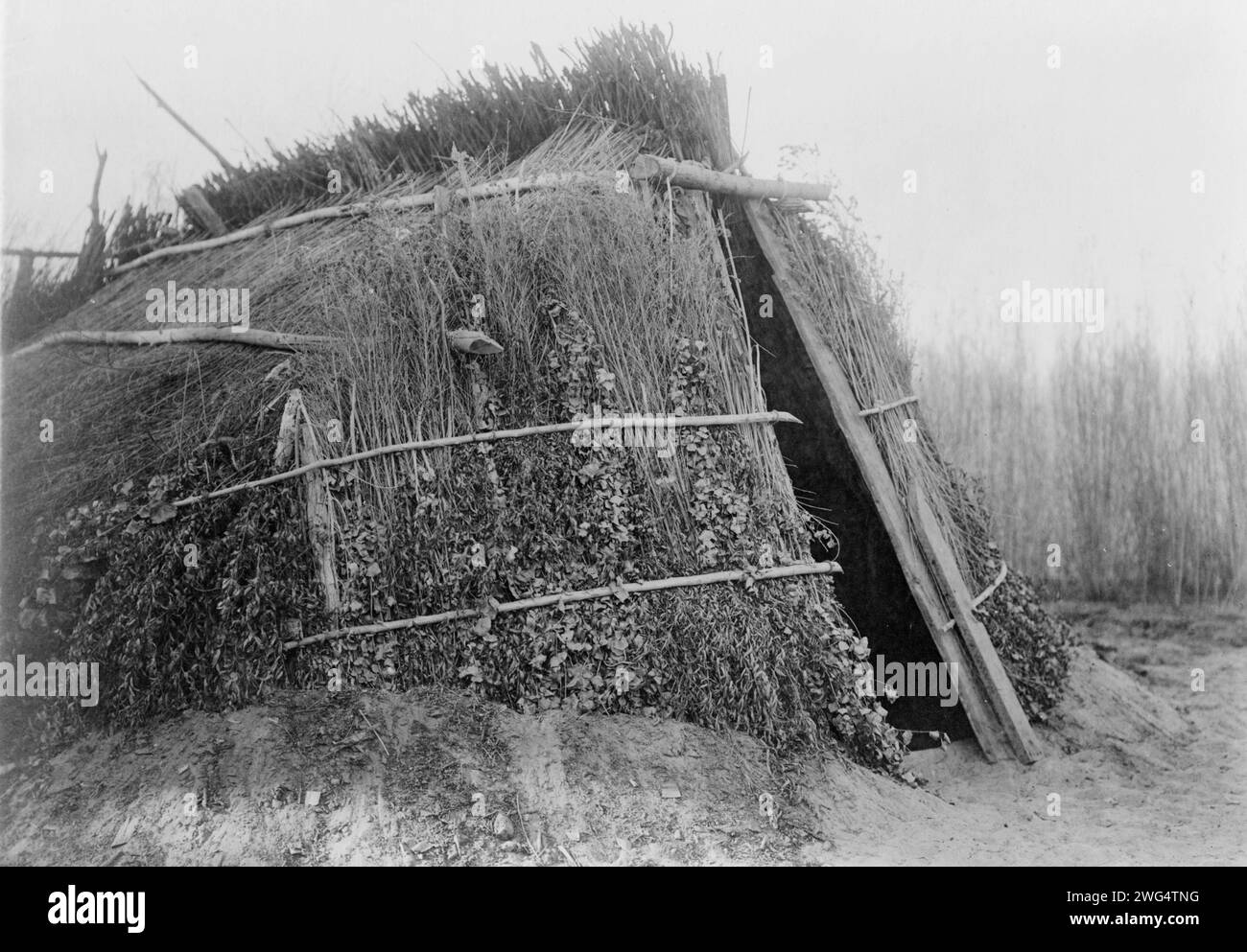 Chemehuevi-Haus, 1924. Strohdach gebaut auf verhülltem Schmutz. Stockfoto