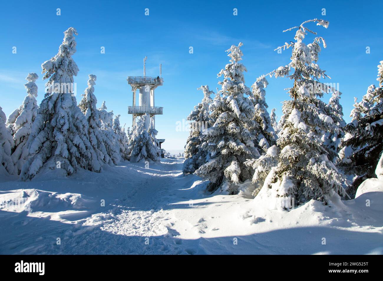 Der kleine Berg und der Aussichtsturm auf der Spitze, die Winterlandschaft vom Isergebirge im Isergebirge im lokalen Isergebirge, Tschechische Republik Stockfoto