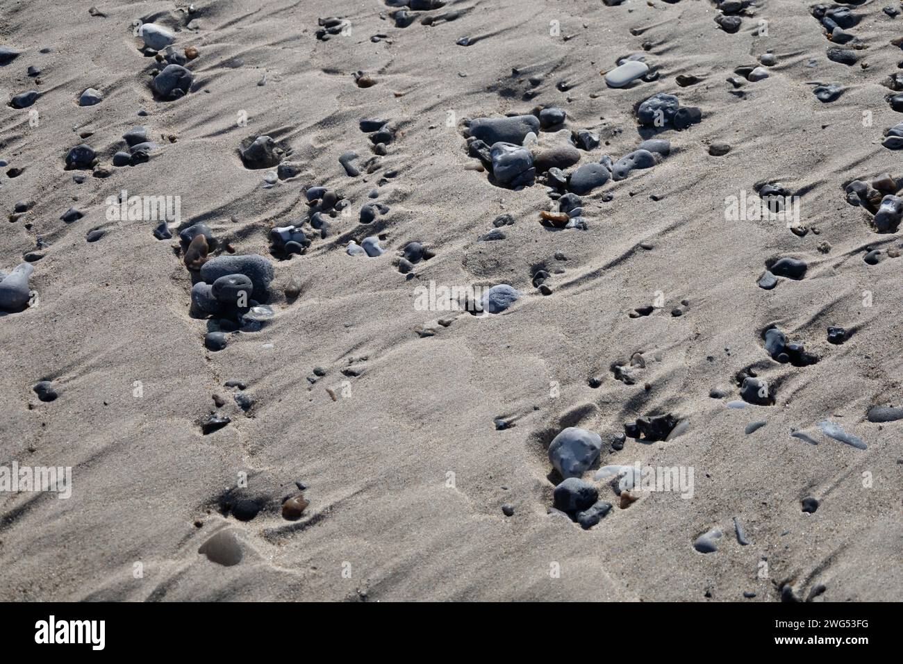 Kieselsteine im Sand Stockfoto