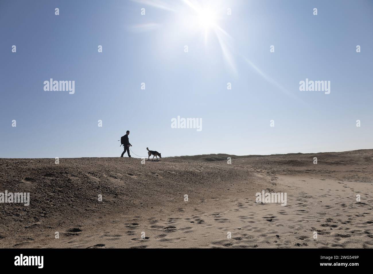 Hundespaziergang auf der Bucht Stockfoto