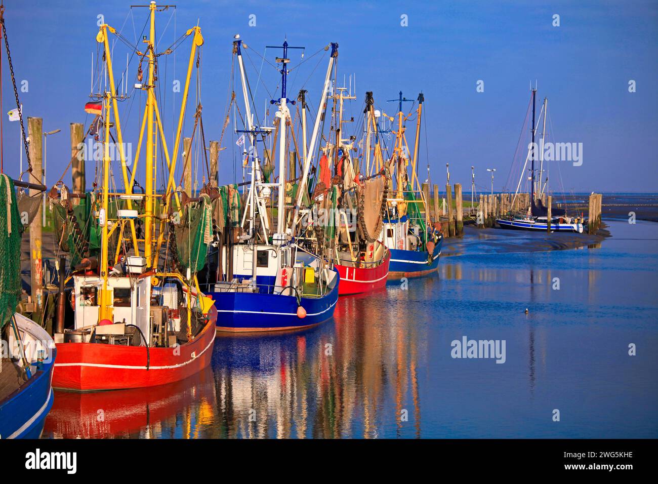 Blauer und roter Krabbenschneider im Hafen von Dorum bei sonnigem Wetter und blauem Himmel Stockfoto