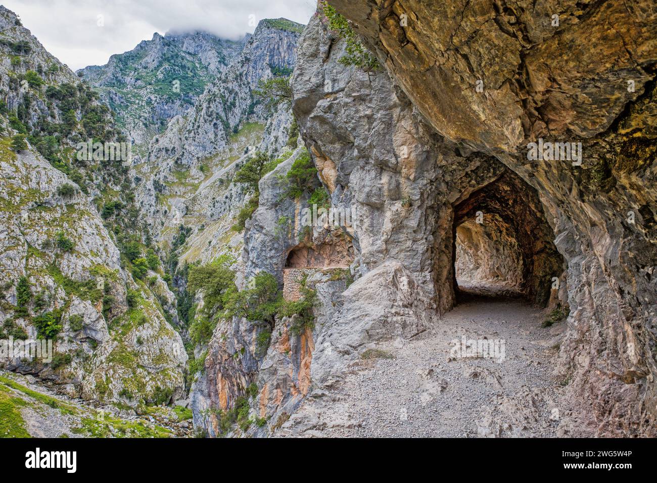 Der schmale Wanderweg schlängelt sich entlang der Felswände in der Ruta del Cares-Schlucht mit steilen Hängen und Tunnelpassagen Stockfoto