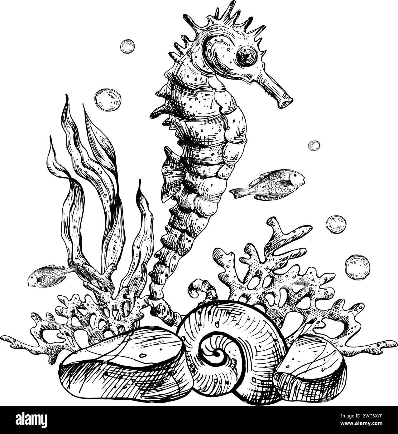 Unterwasserwelt Clipart mit Meerestieren Seepferdchen, Seesternen, Muscheln, Korallen und Algen. Grafische Abbildung, handgezeichnet mit schwarzer Tinte. Zusammensetzung EPS Stock Vektor