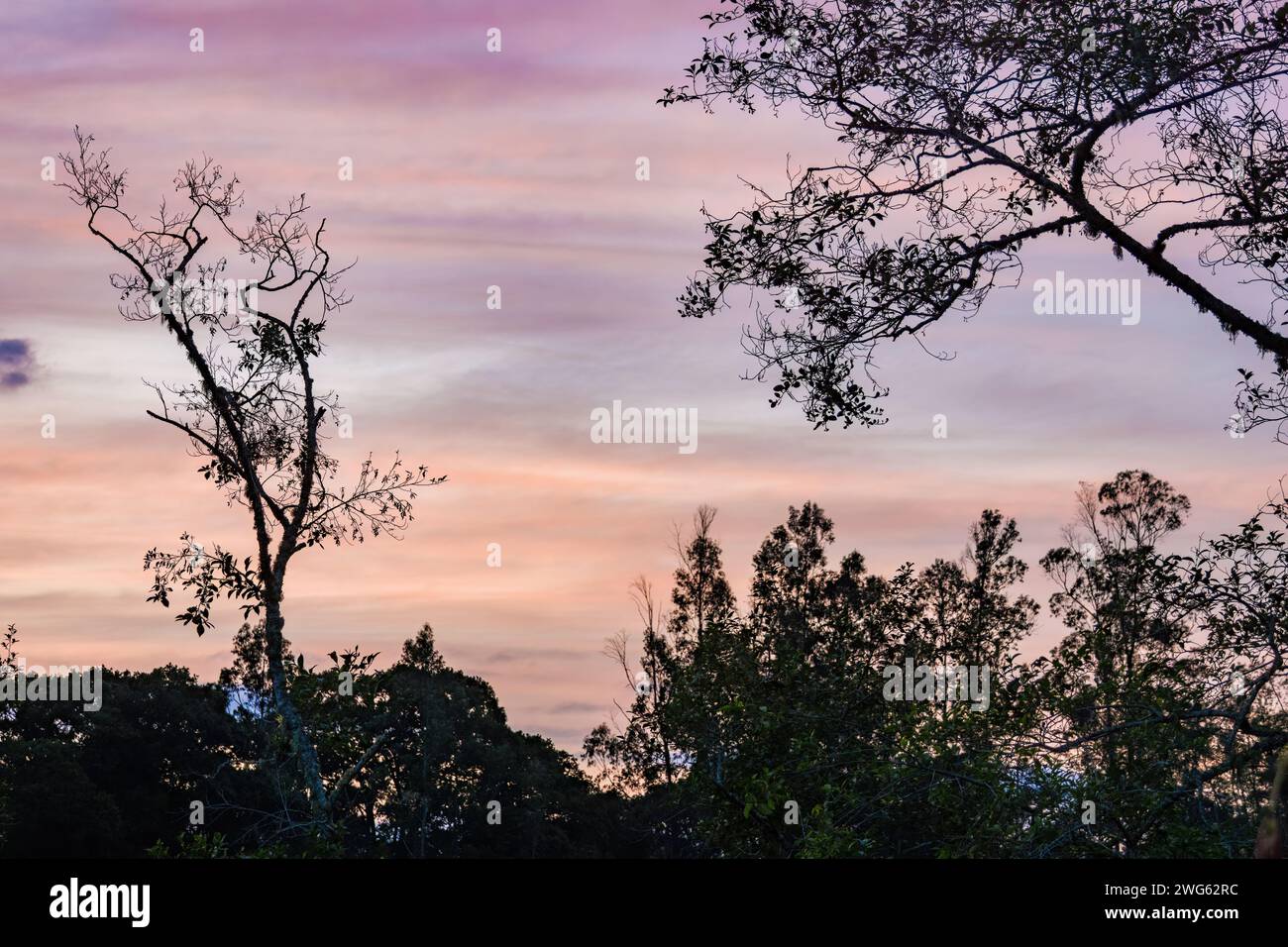 Panoramablick auf die Farben des Nachglühens, am Himmel über die Wälder und Ackerflächen der östlichen Anden in Zentral-Kolumbien. Stockfoto