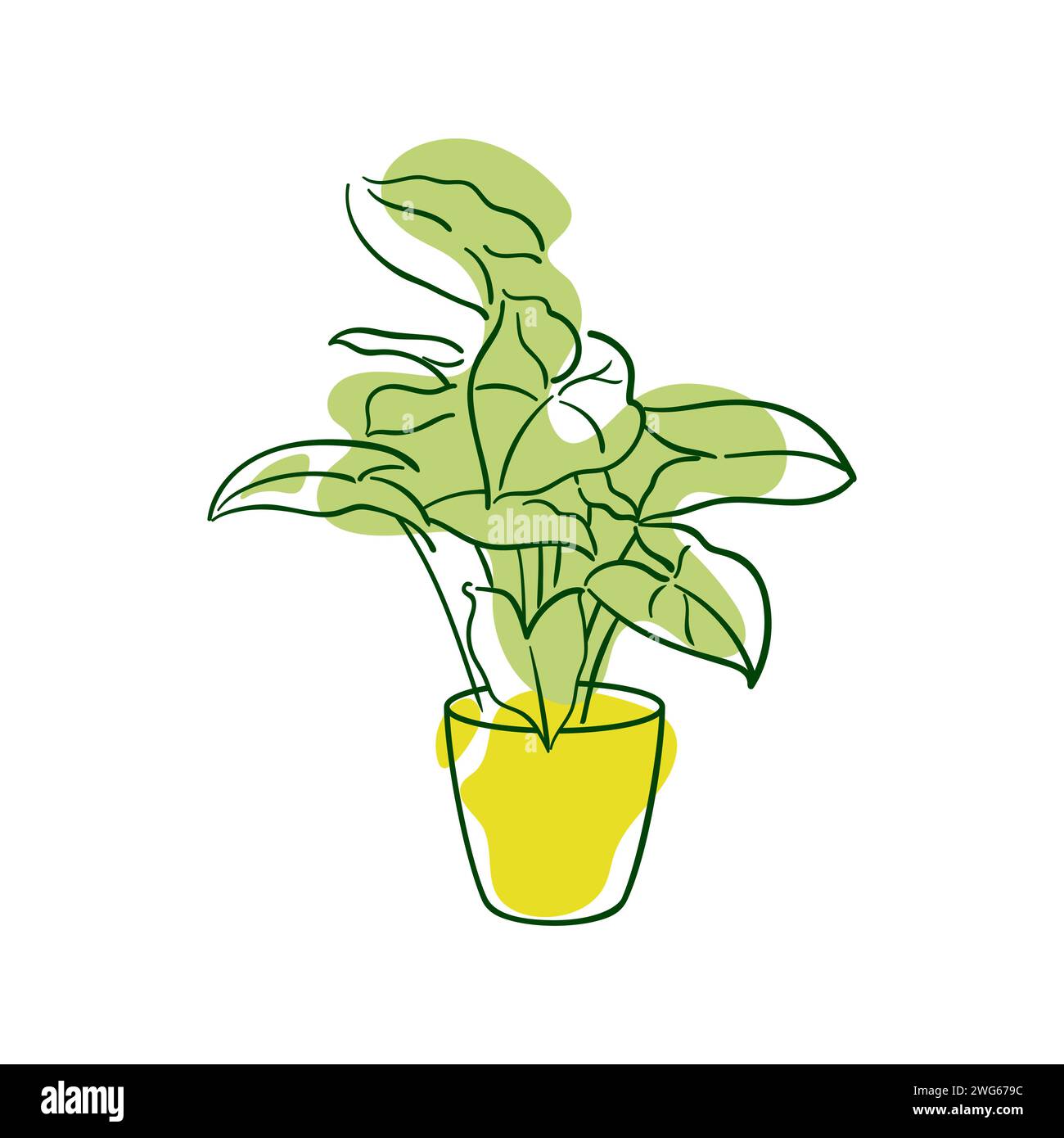 Exotisches Syngonium Podophyllum. Aroidenpflanze in einem Topf. Häusliche Blumenzucht, Hauspflanzen, Hobby. Botanische Vektorillustration in handgezeichnetem Skizzenstil. Stock Vektor