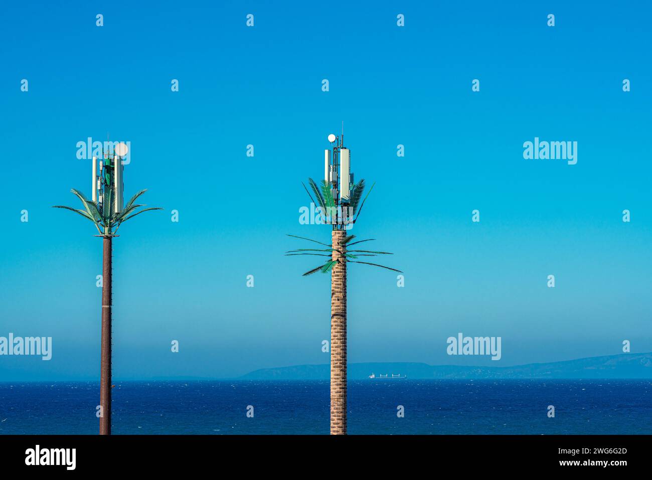 Telefonantennen versteckt in Palmen Stockfoto