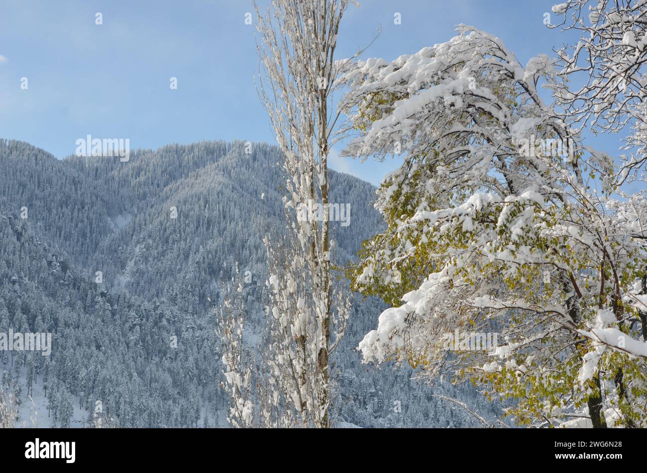 Wunderschöne natürliche Landschaft der Snowy Mountains Stockfoto