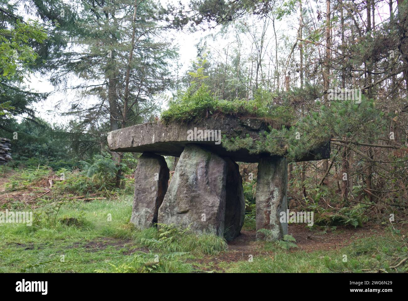 Tempel der Druiden in Masham, Yorkshire Stockfoto