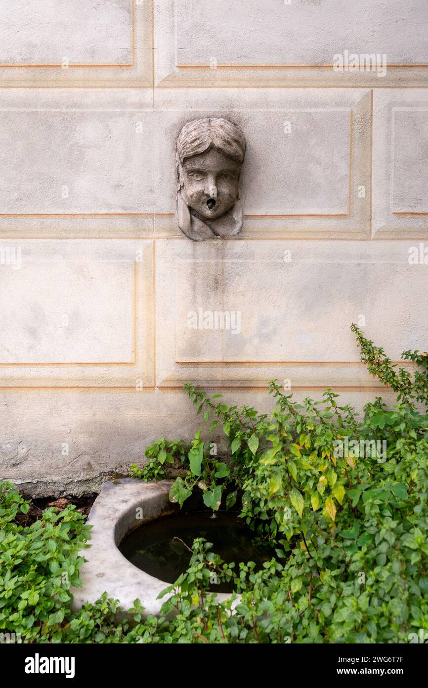 Detail eines alten Brunnen an der Wand mit einem kopfförmigen Wasserhahn in Stein und einem weißen Marmorbecken zwischen wilden Pflanzen, Italien Stockfoto