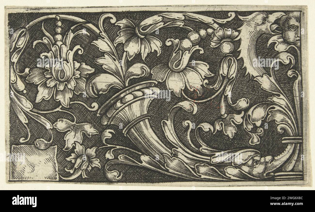 Blätter aus einem Horn, ca. 1500 - ca. 1600 Druckplatte mit Blattreben, die von einem Horn stammen, das in einem Fischkopf unten rechts endet. Ränge, die sich in den Kopf eines Drachen verwandeln, kommen aus dem Mund des Fisches. Schattierter Hintergrund. Deutschland (möglicherweise) Papierstich Stockfoto