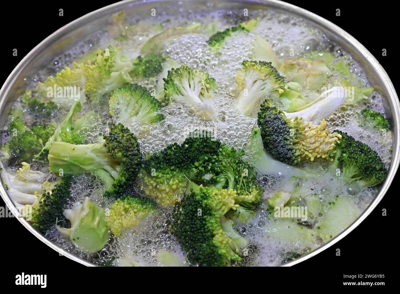 Gemüsepflanzen für die Küche BEARBEITET: In einem Topf mit kochendem Wasser wird Brokkoli blanchiert *** Gemüsepflanzen für die Küche VERARBEITETER Brokkoli wird in einem Topf mit kochendem Wasser blanchiert Stockfoto
