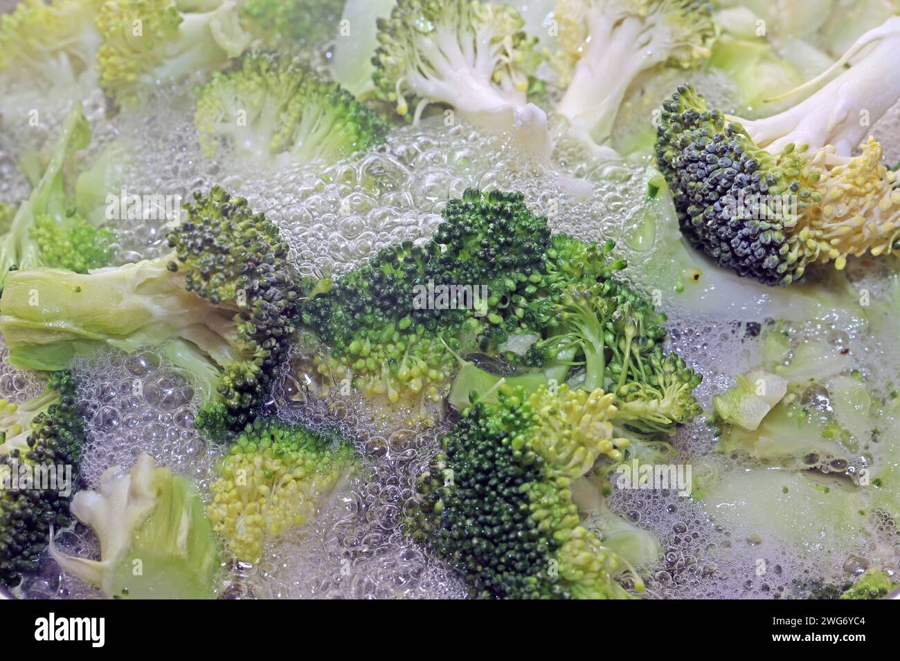 Gemüsepflanzen für die Küche in einem Topf mit kochendem Wasser wird Brokkoli blanchiert *** Gemüsepflanzen für die Küche Brokkoli wird in einem Topf mit kochendem Wasser blanchiert Stockfoto