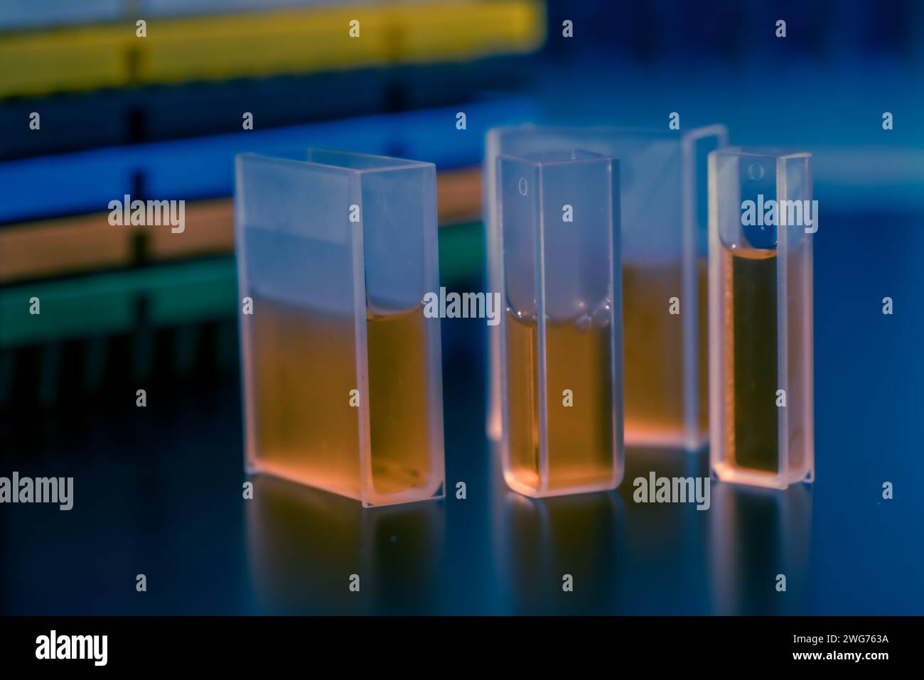 Elektrochemische Experimente: Transparente Küvetten erlauben die Beobachtung von Elektrodenreaktionen in elektrochemischen Zellen. Stockfoto