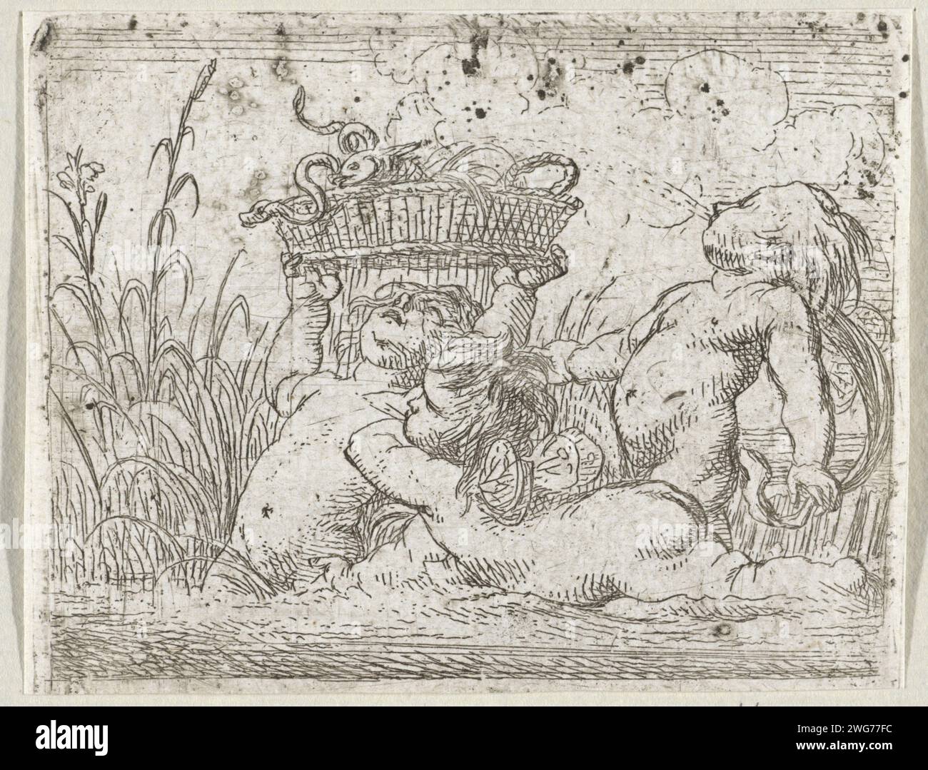 Drei Putten im Wasser, Cornelis Schut (I), 1618–1655 Druck entlang einer bewachsenen Bank sind drei Putten mit Schmetterlingsflügeln im Wasser. Einer trägt einen Korb mit Fisch über dem Kopf. Ein Aal windet sich aus dem Korb. Papierätzkupiden: "amores", "amoretti", "Putti". fisherman zeigt Fang Stockfoto