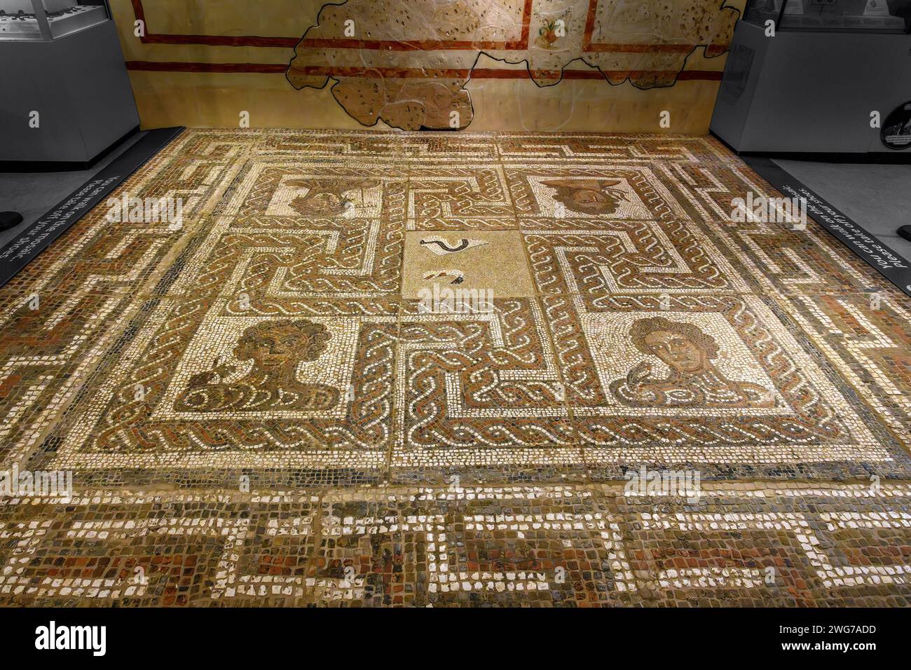The Four Seasons Roman Mosaic, Yorkshire Museum, York, North Yorkshire, England Stockfoto