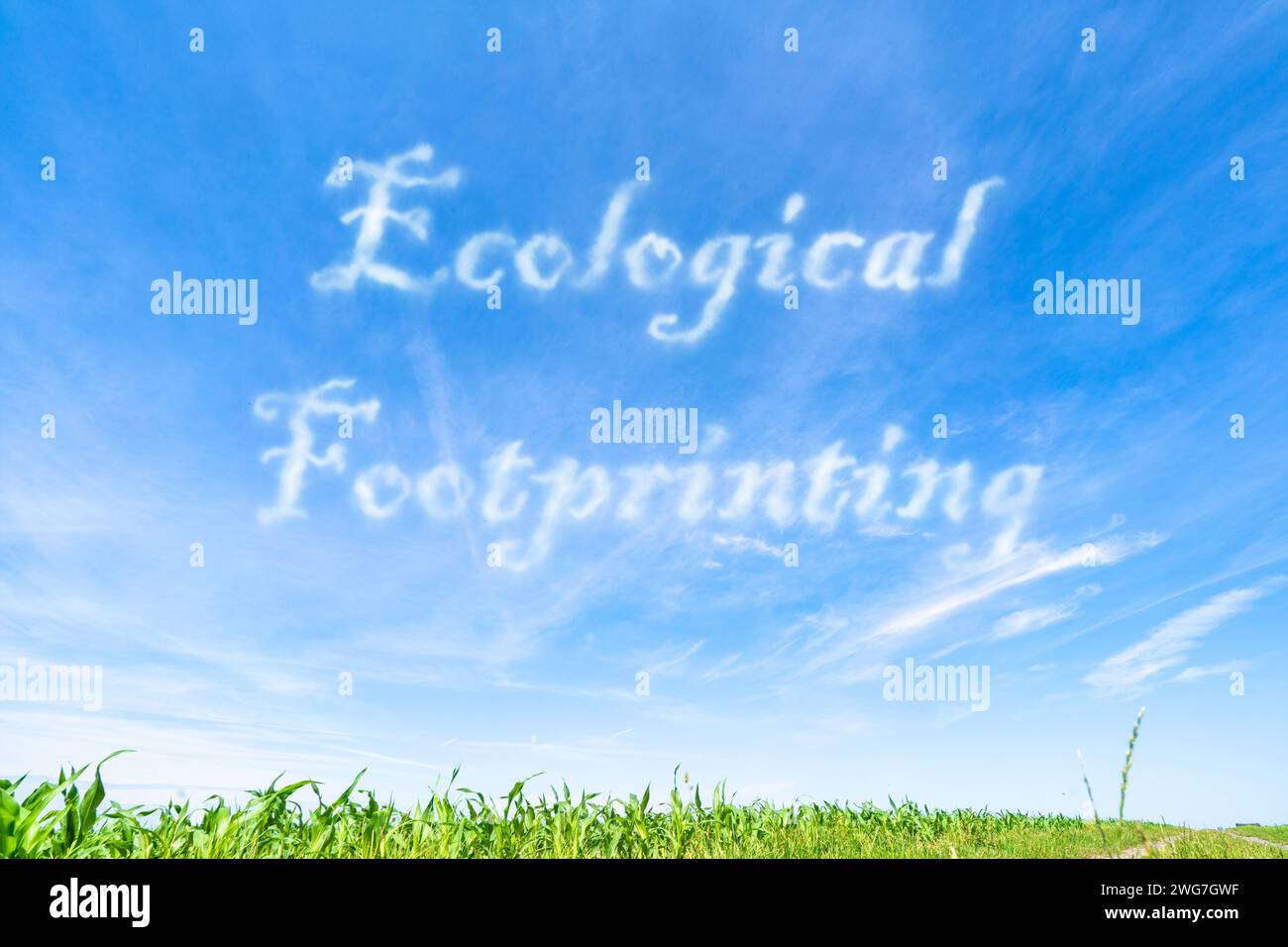 Ökologischer Fußabdruck: Messung der Umweltauswirkungen menschlicher Tätigkeiten im Hinblick auf den globalen Ressourcenverbrauch. Stockfoto