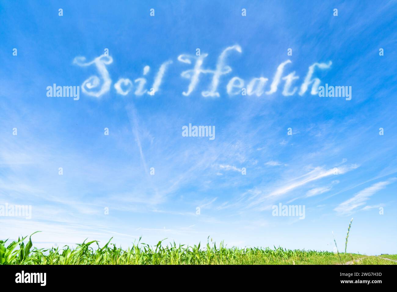 Bodengesundheit: Erhaltung fruchtbarer und produktiver Böden durch nachhaltige landwirtschaftliche Praktiken. Stockfoto