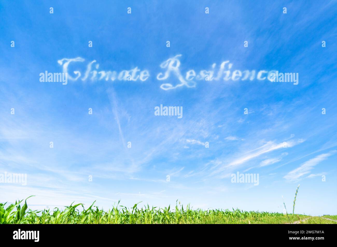 Klimaresilienz: Fähigkeit der Ökosysteme, sich von klimabedingten Störungen anzupassen und sich von diesen zu erholen. Stockfoto