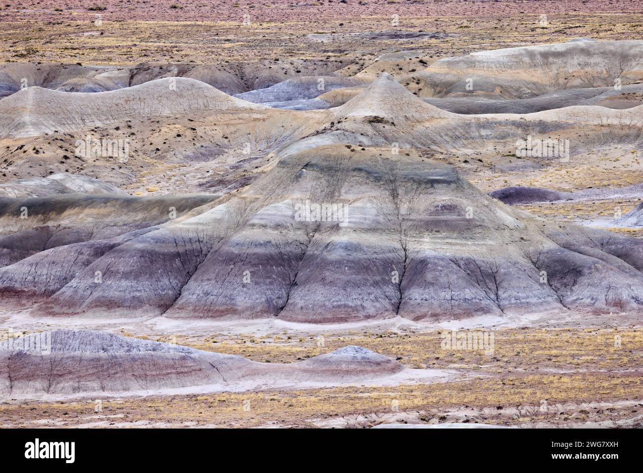 Farbenfrohe Dekopositen des Chinle-Formatons im Little Painted Desert County Park in der Nähe von Winslow, Arizona Stockfoto