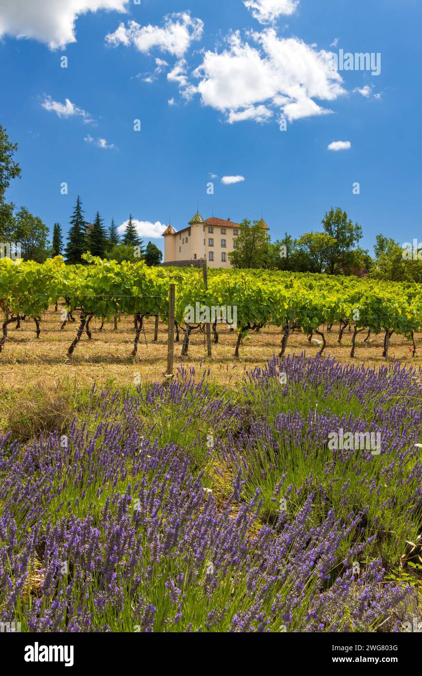 Schloss Aiguines mit Weinberg, Alpes-de-Haute-Provence, Provence, Frankreich Stockfoto