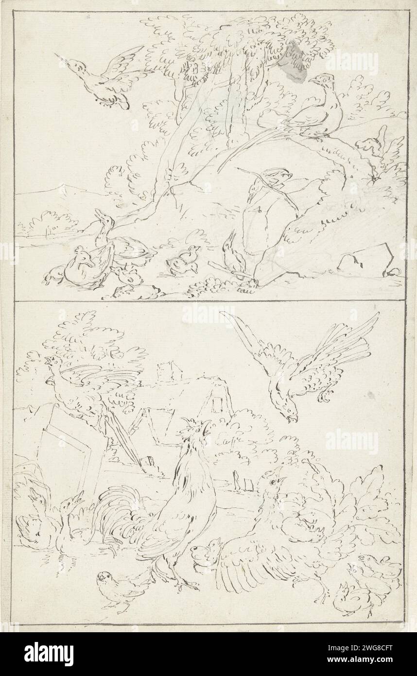 Design für eine Raumdekoration: Zwei Paneele mit Vögeln, Abraham Meertens, 1767 - 1823 Zeichnung Design für eine Wanddekoration. Papier. Tinte. Federstiftgruppen von Vögeln Stockfoto