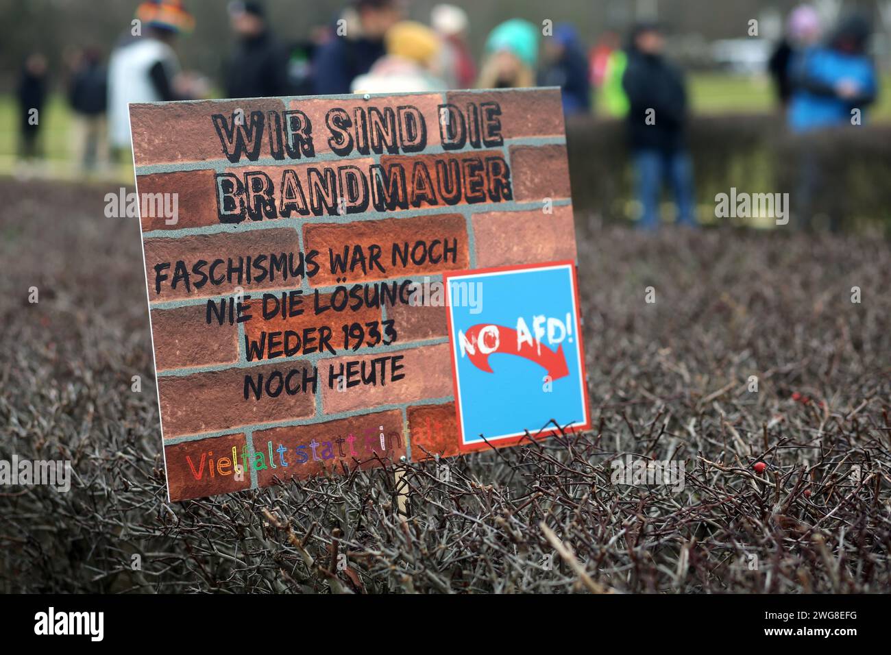 Berlin, Deutschland. Februar 2024. Ein Antifaschismus-Plakat, das während der Demonstration gesehen wurde. In Berlin fand ein politischer Protest statt, an dem über 100.000 Menschen teilnahmen. Am Bundesgebäude wurde von Hand in Hand eine Menschenkette organisiert - #WirSindDieBrandmauer als Symbol ihrer Unterstützung für Demokratiesolidarität gegen rechte Entwicklungen in Deutschland. (Foto: Liam Cleary/SOPA Images/SIPA USA) Credit: SIPA USA/Alamy Live News Stockfoto