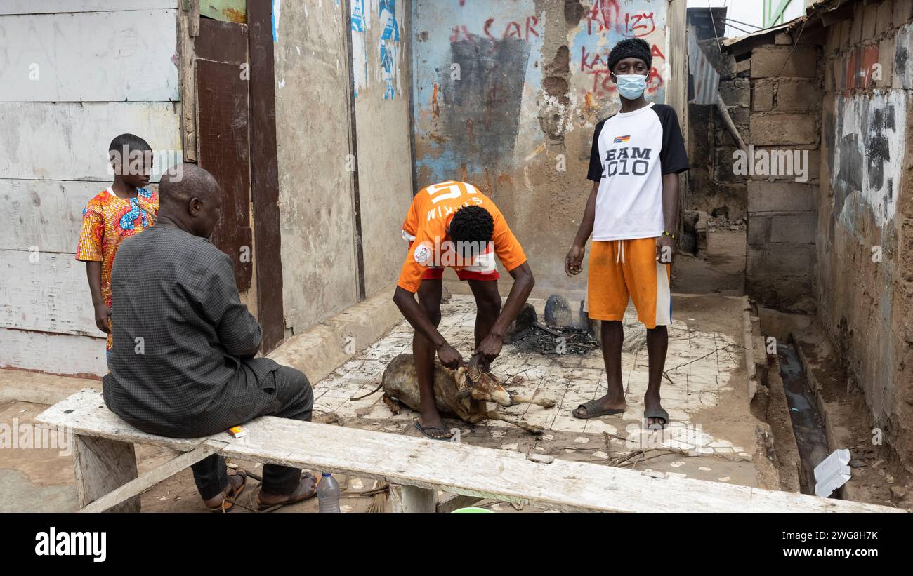 Familienopfer Ziege Accra Eid al Adha Festival der Opfer Muslime. Tierische Opfer Islam heiliger Monat Ramadan Eid ul Adha. Muslimischer Sektor von Accra. Stockfoto