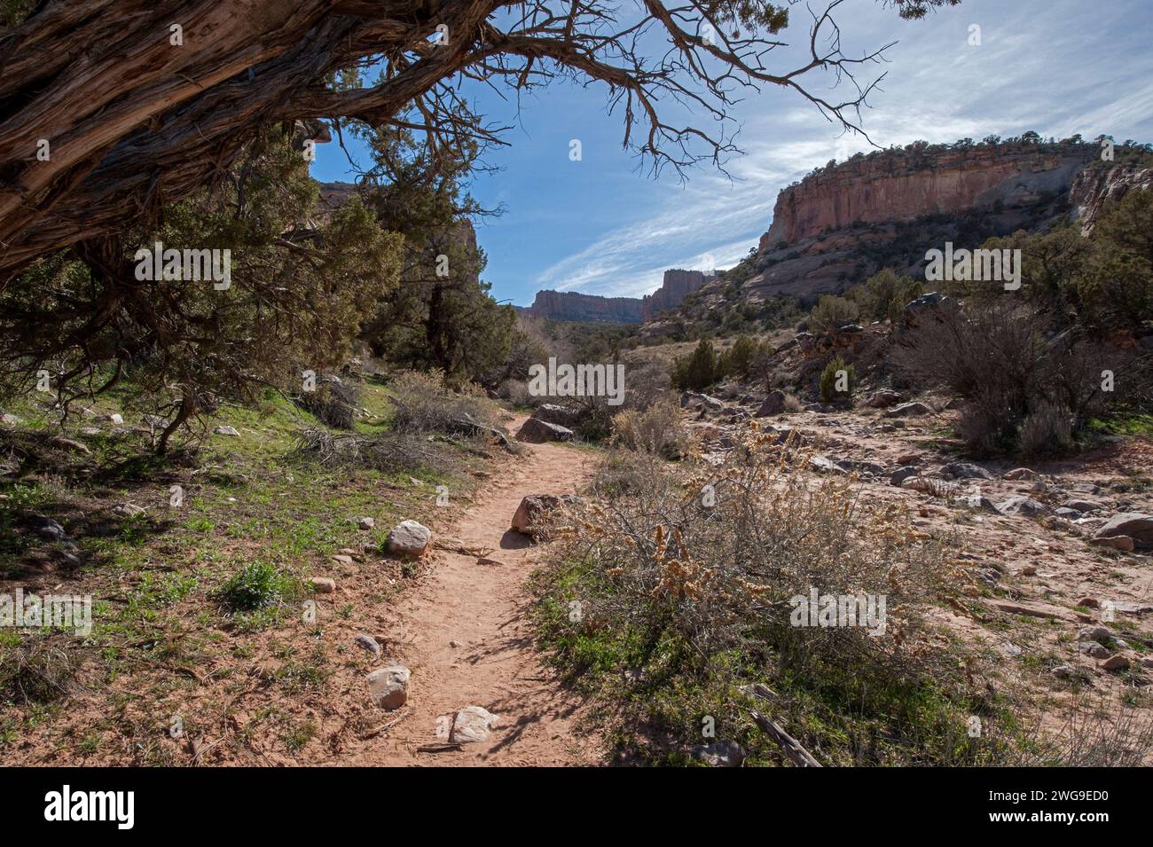 Der Devil's Canyon Trail in der Nähe von Fruita Colorado, kurz vor der Grenze der Wildnis Stockfoto