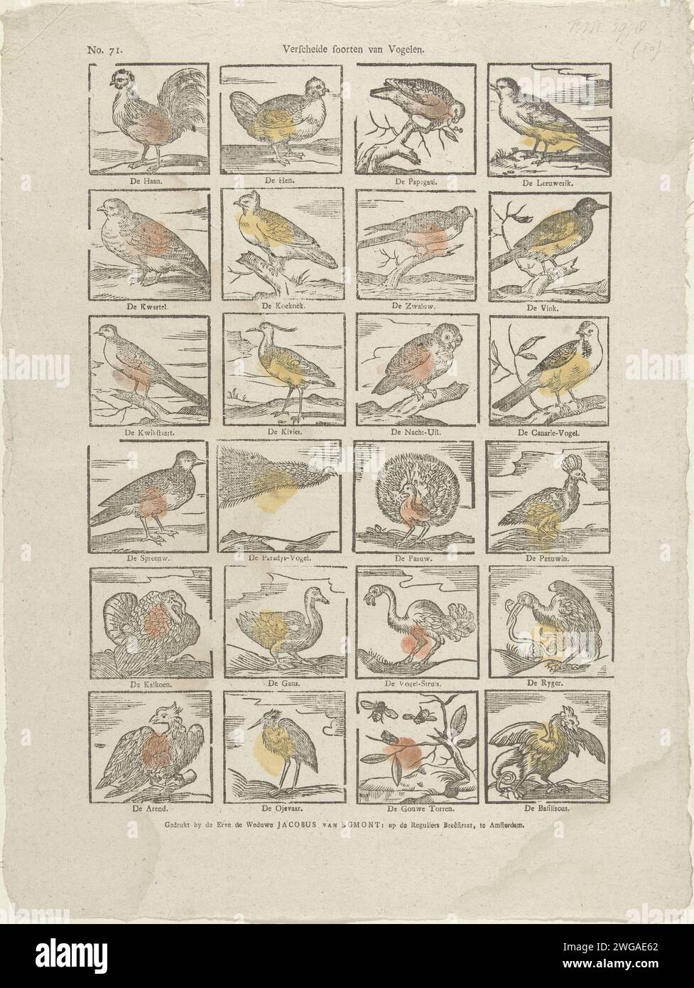 Verschiedene Vogelarten, 1761 - 1804 Print Blatt mit 36 Aufführungen von Vögeln, darunter ein Hahn, eine Schwalbe und ein Adler. Unter jedem Bild der Name des Vogels. Oben links nummeriert: Nr. 71. Amsterdam Papier Buchdruck Vögel Stockfoto