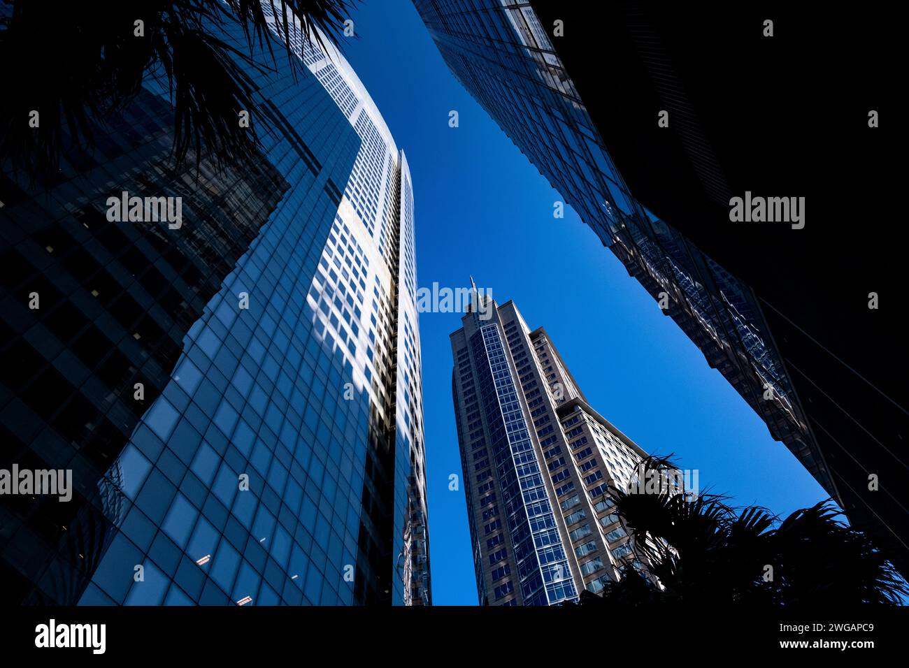 Sydney City, Australien Stockfoto