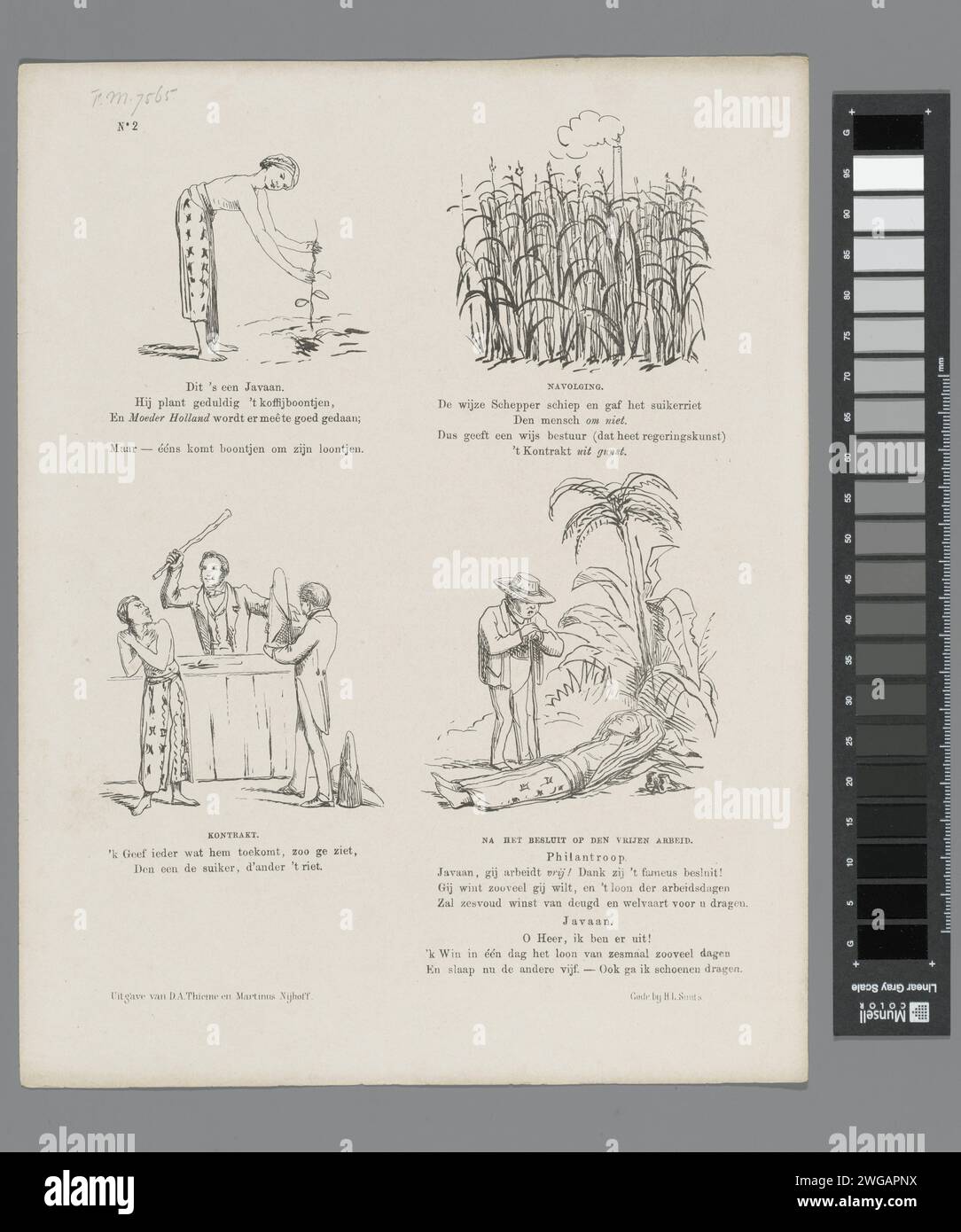Cartoon on the Cultural Contracts in the East Indies, 1861, 1861 Print Cartoon on Cultural Contracts and Free Work in Java. Vier Darstellungen vom Anpflanzen einer Kaffeepflanze, von Zuckerrohr und Zuckerfabrik, von Zahlung und Bestrafung und von einem ruhenden Javaner. Plaat trat beim Weekblad de Nederlandsche Spectator auf, nein 2, 12. Januar 1861. Druckerei: Netherlandsprinter: Netherlandspublisher: Arnhempublisher: Der Haager Papierzucker. Kaffee. Plantage. Pflanzen und Kräuter: Zuckerrohr Java Stockfoto
